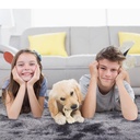 glowsol-8x10-area-rug-extra-large-shag-fluffy-soft-rug-carpets-fuzzy-non-skid-furry-plush-area-rugs-for-living-room-bedroom-dark-gray-06-14d9327d92e4bb15878533209adb7555.jpg