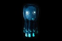 minecraft-squid-kids-bedding-glow-in-the-dark-plush-kids-bedding-plush-pillow-buddy-04-c09afd98-18a0-4b8d-a08b-a6e200dbd8c2.a1730e64e4310357f785c85b71f6729c.jpg