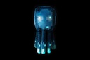 minecraft-squid-kids-bedding-glow-in-the-dark-plush-kids-bedding-plush-pillow-buddy-07-6f57750c-cf13-4640-83c8-e7fe7ea29db7.a4b77d0429ea10bb1f923fcec0e3162f.jpg