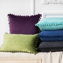 phantoscope-throw-pillow-with-insert-silky-velvet-series-pom-pom-decorative-pillow-20-x-20-green-2-pack-06-04b53ba55f0fe005752d9627fb48e520.jpg