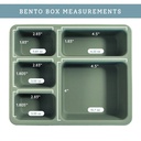 austin-baby-co-bento-lunch-box-for-toddler-and-kids-silicone-lunch-container-with-5-leak-proof-compartments-food-safe-materials-sturdy-dishwasher-safe-and-bpa-free-camper-sage-green-10-4c4be285d83a9907180cd657db0cd757.jpg