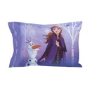 frozen-2-toddler-sheet-set-05-1047a96c5b84d6c04897a8c47ccaf5c3.jpg
