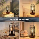 natyswan-industrial-table-lamp-set-of-2-small-touch-control-edison-desk-lamp-3-way-dimmable-vintage-bedside-lamp-metal-cage-steampunk-for-living-room-bedroom-or-den-05-783ca778524bbdac65a62811023e272d.jpg
