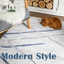 rugking-modern-design-area-rug-5x7-for-living-room-washable-accent-rug-foldable-nonslip-rug-thin-carpet-blue-grey-05-a550e50ccd2af1a27559e8ef72c99682.jpg
