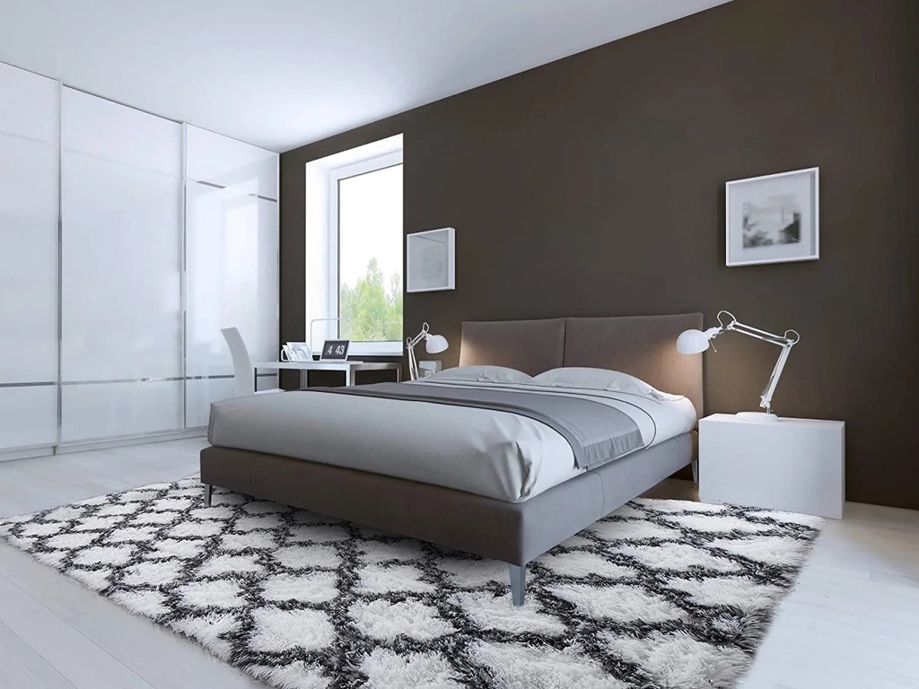 lochas-soft-area-rugs-accent-rug-for-bedroom-living-room-shaggy-fluffy-carpets-for-nursery-baby-rooms-4x-6-white-05-872589434efad8998326221cca923a0d.jpg