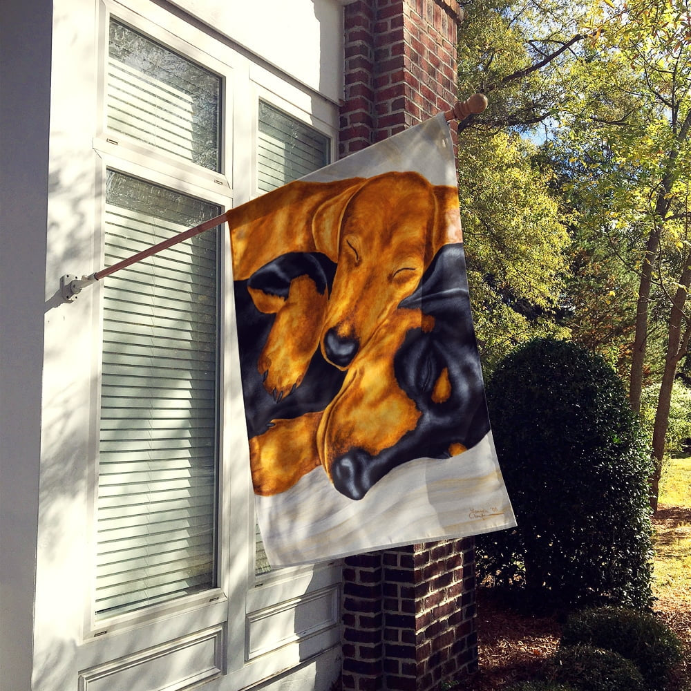 carolines-treasures-amb1110chf-dachshund-snuggles-flag-canvas-house-size-large-multicolor-02-fd3f47105cd5ec5cc2a7730c6d96284f.jpg
