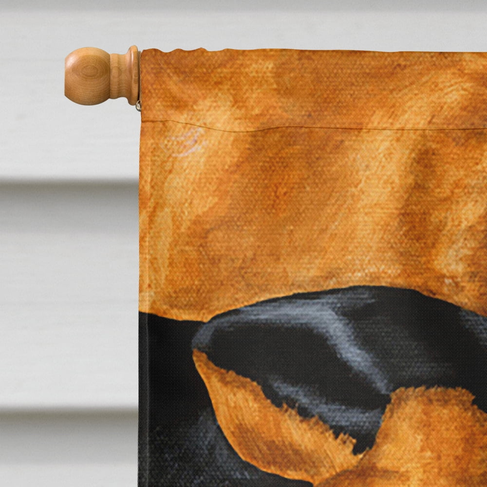 carolines-treasures-amb1110chf-dachshund-snuggles-flag-canvas-house-size-large-multicolor-03-c61f1ead0d97d3aa9ac4fad542bde0d1.jpg