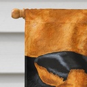 carolines-treasures-amb1110chf-dachshund-snuggles-flag-canvas-house-size-large-multicolor-03-c61f1ead0d97d3aa9ac4fad542bde0d1.jpg