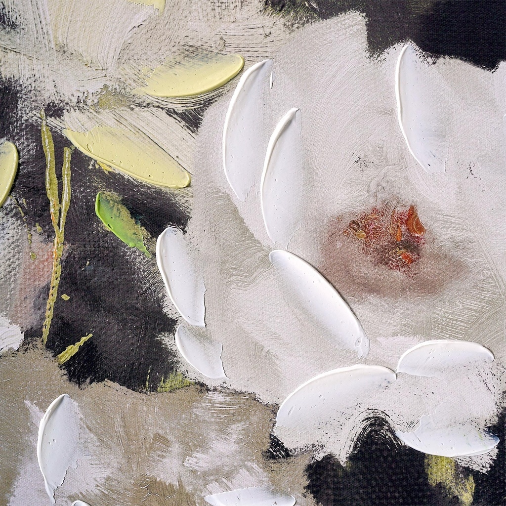 beautiful-hand-painted-romantic-white-florals-gold-wood-framed-canvas-wall-art-by-drew-barrymore-16-x-20-06-354a635cdcc0de1e9b65f2e9601e3e44.jpg