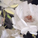beautiful-hand-painted-romantic-white-florals-gold-wood-framed-canvas-wall-art-by-drew-barrymore-16-x-20-06-354a635cdcc0de1e9b65f2e9601e3e44.jpg