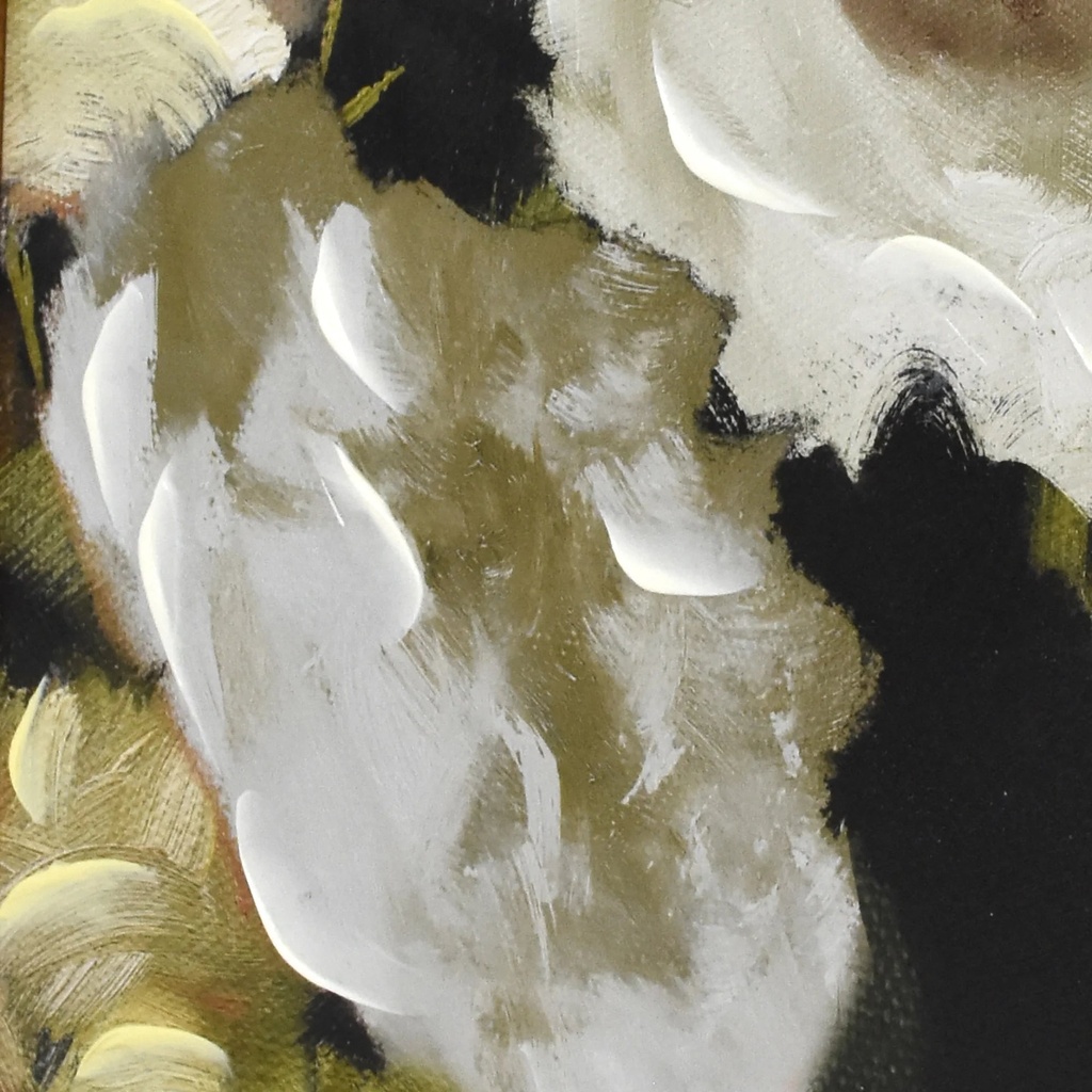 beautiful-hand-painted-romantic-white-florals-gold-wood-framed-canvas-wall-art-by-drew-barrymore-16-x-20-08-3bb7c19357355817dae5f21c3700516d.jpg
