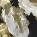 beautiful-hand-painted-romantic-white-florals-gold-wood-framed-canvas-wall-art-by-drew-barrymore-16-x-20-08-3bb7c19357355817dae5f21c3700516d.jpg
