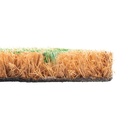 storm-stopper-all-weather-flamingo-duo-indoor-outdoor-printed-coir-mat-08-923bc822-236b-484c-b78e-3abd08e32416.e0218be65a95bfb754f80259edd40c50.jpg