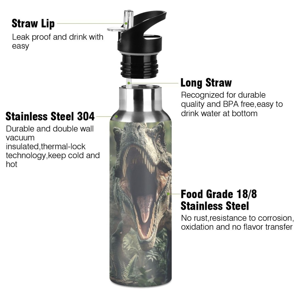 dinosaur-in-the-forest-water-bottles-insulated-thermos-kids-stainless-steel-bottle-with-straw-lid-flask-leakproof-for-sports-gym-20-oz-02-b8f613bc-cf62-4607-9a9d-ee20e9bb5154.b0e334ab08364a1460cd124e4ed62576.jpg