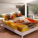 yst-lovely-squirrel-twin-fitted-sheet-wildlife-animal-sheets-autumn-fall-bed-sheets-rodents-breed-bed-cover-red-yellow-leaf-bed-set-lightweight-home-decorative-deep-pocket-03-0a27c5ebe9aa6fd10579ee39211dd347.jpg