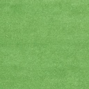 safavieh-kids-topher-play-grass-area-rug-green-multi-3-x-5-05-db2712e0f7d573fcbaa7584bf82be418.jpg