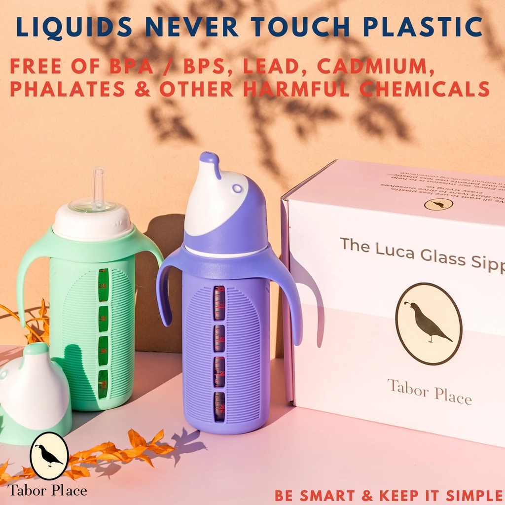 tabor-place-glass-sippy-cup-for-toddlers-mint-green-spill-proof-silicone-straw-8-oz-liquids-never-touch-plastic-02-ef9c4cc8fe4ea59ecd8ccb6417b4ae40.jpg