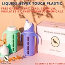 tabor-place-glass-sippy-cup-for-toddlers-mint-green-spill-proof-silicone-straw-8-oz-liquids-never-touch-plastic-02-ef9c4cc8fe4ea59ecd8ccb6417b4ae40.jpg