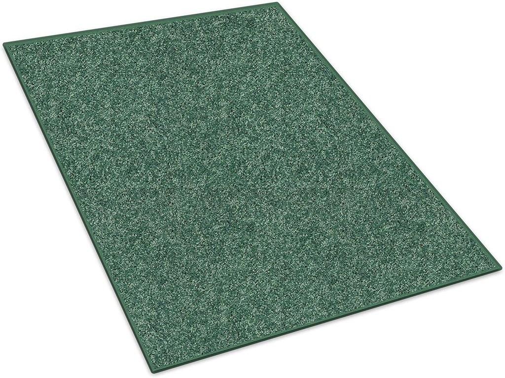 2-x-3-soft-and-colorful-cozy-rectangle-area-rugs-available-in-12-fun-bright-and-bold-colors-and-multiple-sizes-color-leap-frog-green-02-3fdae3362c6a1d1a460548be35f25f98.jpg