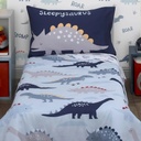 parents-choice-boy-dino-toddler-set-08-f6f01b92c754f733f4716d1a5fb5799d.jpg