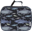 bentology-lunch-bag-and-box-set-for-kids-boys-insulated-lunchbox-tote-bento-box-5-containers-and-ice-pack-9-pieces-fish-02-d26c63dbed654b005958cb2a6a04d10a.jpg