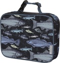 bentology-lunch-bag-and-box-set-for-kids-boys-insulated-lunchbox-tote-bento-box-5-containers-and-ice-pack-9-pieces-fish-04-fbe09a2b820d7b0ea1cbd0c46d07354e.jpg