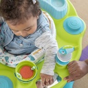 exersaucer-seaside-splash-activity-center-unisex-17-912fd5d7-a795-4531-8295-2383f5f15fb2.86a391dcf1d1693045f154ca86cbdad6.jpg