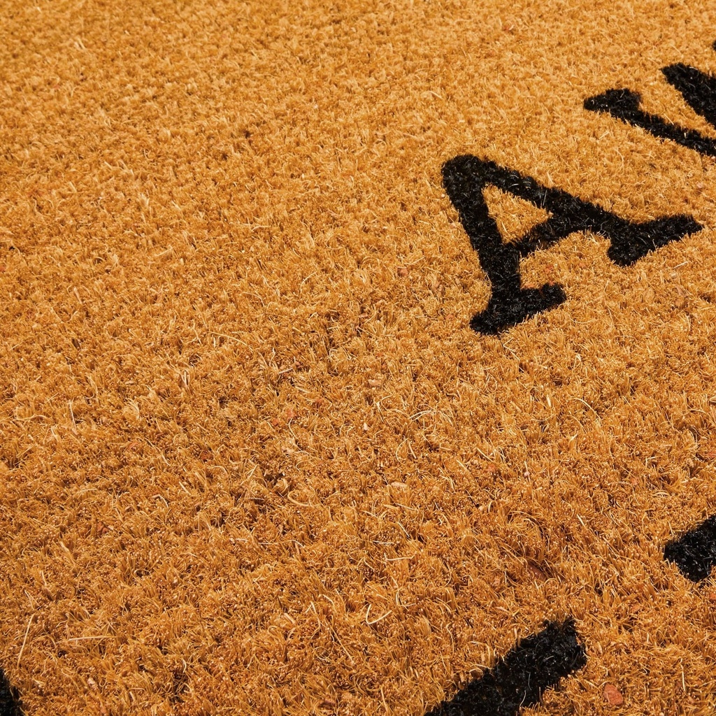 go-away-doormat-funny-front-door-welcome-mat-for-outdoor-porch-or-patio-natural-coco-coir-17-x-30-in-07-b2cd804abd8a7000df030eded97a2a1c.jpg