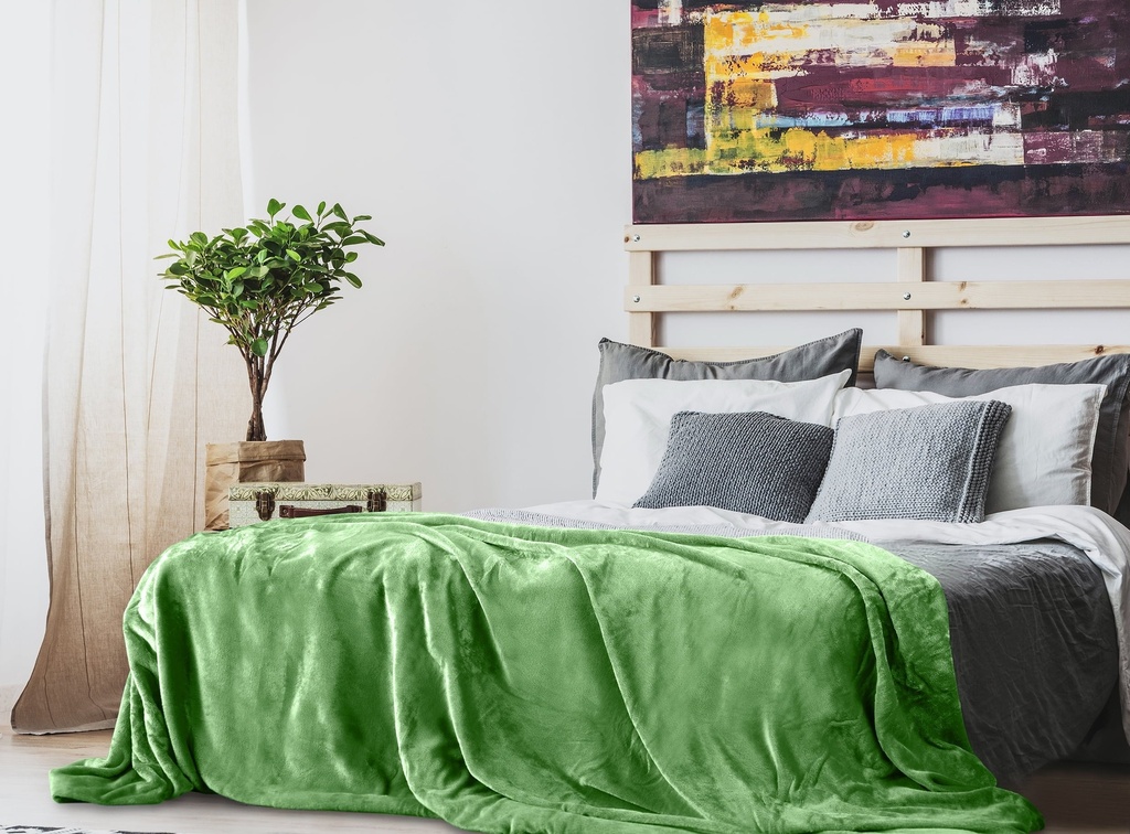 lux-decor-collection-queen-fleece-blanket-super-soft-warm-fuzzy-cozy-for-all-seasons-plush-microfiber-wearable-blanket-90x90-green-02-74b865c3-a3fe-4944-9f3a-d56072667e70.629fa6876bc103134c8a65679b7efcdf.jpg
