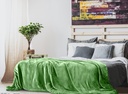 lux-decor-collection-queen-fleece-blanket-super-soft-warm-fuzzy-cozy-for-all-seasons-plush-microfiber-wearable-blanket-90x90-green-02-74b865c3-a3fe-4944-9f3a-d56072667e70.629fa6876bc103134c8a65679b7efcdf.jpg
