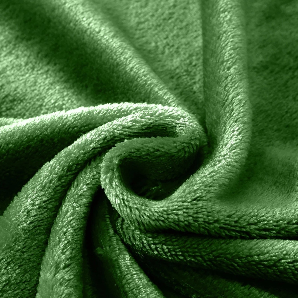 lux-decor-collection-queen-fleece-blanket-super-soft-warm-fuzzy-cozy-for-all-seasons-plush-microfiber-wearable-blanket-90x90-green-03-db21fcd00e1f48a32d9e10d48c1b9290.jpg