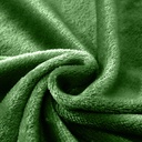 lux-decor-collection-queen-fleece-blanket-super-soft-warm-fuzzy-cozy-for-all-seasons-plush-microfiber-wearable-blanket-90x90-green-03-db21fcd00e1f48a32d9e10d48c1b9290.jpg