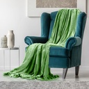 lux-decor-collection-queen-fleece-blanket-super-soft-warm-fuzzy-cozy-for-all-seasons-plush-microfiber-wearable-blanket-90x90-green-04-b7acdb8796a3e26bb9844aa352c9cbb7.jpg