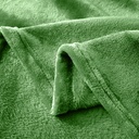 lux-decor-collection-queen-fleece-blanket-super-soft-warm-fuzzy-cozy-for-all-seasons-plush-microfiber-wearable-blanket-90x90-green-06-a2ae095cac8d5172ead53b143f7c8bde.jpg