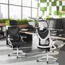 alden-design-high-back-ergonomic-mesh-office-chair-with-adjustable-padded-headrest-white-black-02-af4c111e067d045ebd2fc092af9641f1.jpg