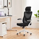 alden-design-high-back-ergonomic-mesh-office-chair-with-adjustable-padded-headrest-white-black-04-0722d2800979348e195f1f78af1f07c6.jpg