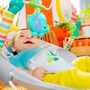 bright-starts-playful-paradise-vibrating-baby-bouncer-unisex-newborn-06-af51c9e8-783d-4a8a-92e0-b40c43ff4185.ed583bb61c84d3ddd7c019c3dff6ffa6.jpg