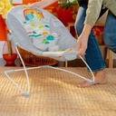 bright-starts-playful-paradise-vibrating-baby-bouncer-unisex-newborn-10-a439d9e0-af82-4d54-841e-1d7318d55c71.5a8299871f1cd973c7911f2cc969a385.jpg