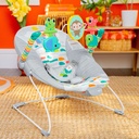 bright-starts-playful-paradise-vibrating-baby-bouncer-unisex-newborn-12-695ff927-1ded-42a2-b9ad-3a95fedba2ca.76dc8750547a8e0d077224cccffd3cc8.jpg
