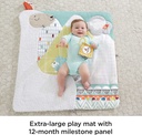 fisher-price-perfect-sense-deluxe-gym-baby-playmat-with-tummy-wedge-6-sensory-toys-04-b5569898be2bf24a5e302329b7c89ccb.jpg