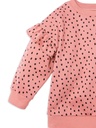 little-star-organic-toddler-girl-2pk-long-sleeve-pull-over-sweatshirt-size-12m-5t-03-e7698369c6d194f78fcf2a1640279db1.jpg
