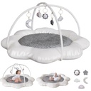 g-taleco-gear-baby-play-mat-with-5-toys-tummy-time-mat-washable-baby-activity-gym-baby-gift-for-0-12-months-09-0191e9c1c8e24b002721f6ff0f446025.jpg