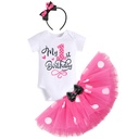 ibtom-castle-toddler-baby-girls-1st-2nd-birthday-outfit-mini-polka-dots-romper-tutu-dress-mouse-ears-headband-princess-skirt-set-for-photo-shoot-1-year-hot-pink-02-a29bd8c41b57e50f1bdd3d0bdacc63c5.jpg