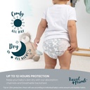 rascals-premium-training-pants-2t-3t-64-count-select-for-more-options-05-ce6caf5e-eb5a-472e-a782-5112da0ea6c3.81f4bc9caa00f93a0591c77af1836213.jpg