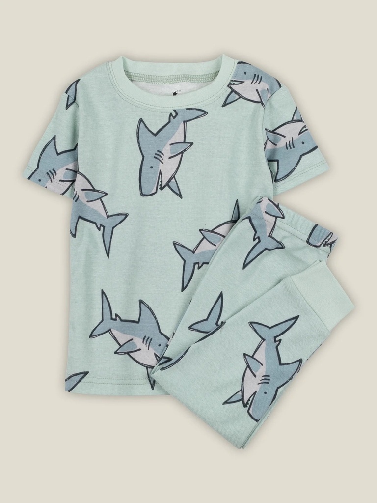 little-star-organic-4pc-boy-snug-fit-sleepwear-sizes-12m-5t-04-5c509aaaa98f8bb11b02fdc058817339.jpg