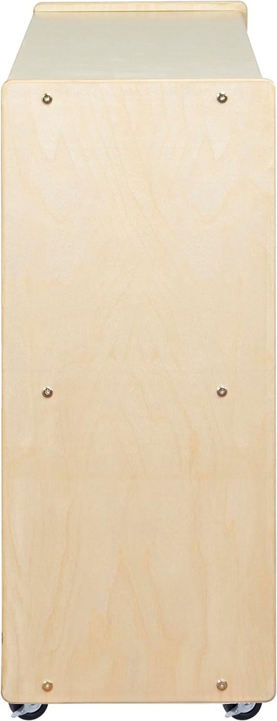 rri-goods-2-shelf-montessori-bookcase-w-caster-bookshelf-storage-organizer-08-c60aee7e-15b6-490f-9f3b-26ec46f5015c.e6ef5004573cc4aedc943e0a29ab1e27.jpg
