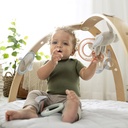ingenuity-cozy-spot-reversible-infant-baby-activity-gym-tummy-time-play-mat-with-self-storage-09-8d1a2af4-df90-4009-b2b4-57527d4593c2.943838c8bd7236f6744f4acbe67212a4.jpg
