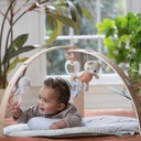ingenuity-cozy-spot-reversible-infant-baby-activity-gym-tummy-time-play-mat-with-self-storage-14-88265a23-373e-4099-b8d1-5140112c6456.50d203422e009725f76399b6a988e488.jpg