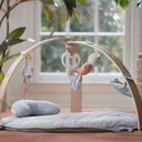 ingenuity-cozy-spot-reversible-infant-baby-activity-gym-tummy-time-play-mat-with-self-storage-15-317bdfdd-851f-44b5-8c92-e15d4c5a9448.bfad3e71cd17e42189032f28a475a403.jpg