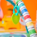 bright-starts-wild-wiggles-baby-activity-gym-play-mat-foldaway-toy-bar-newborn-unisex-green-13-1e7a6b79-ce53-42d7-9f6e-97e78839cd16.b5a64ea450065dbc64d313ed820a4778.jpg